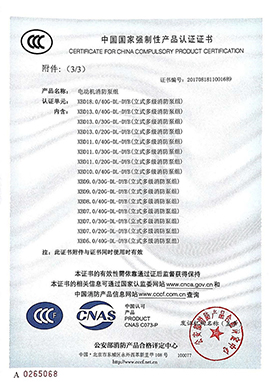 DL-3C證書(shū)-1689